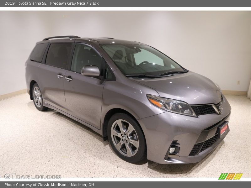 Predawn Gray Mica / Black 2019 Toyota Sienna SE