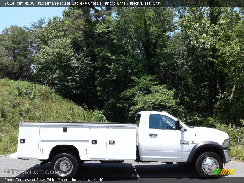 Bright White / Black/Diesel Gray 2014 Ram 4500 Tradesman Regular Cab 4x4 Chassis