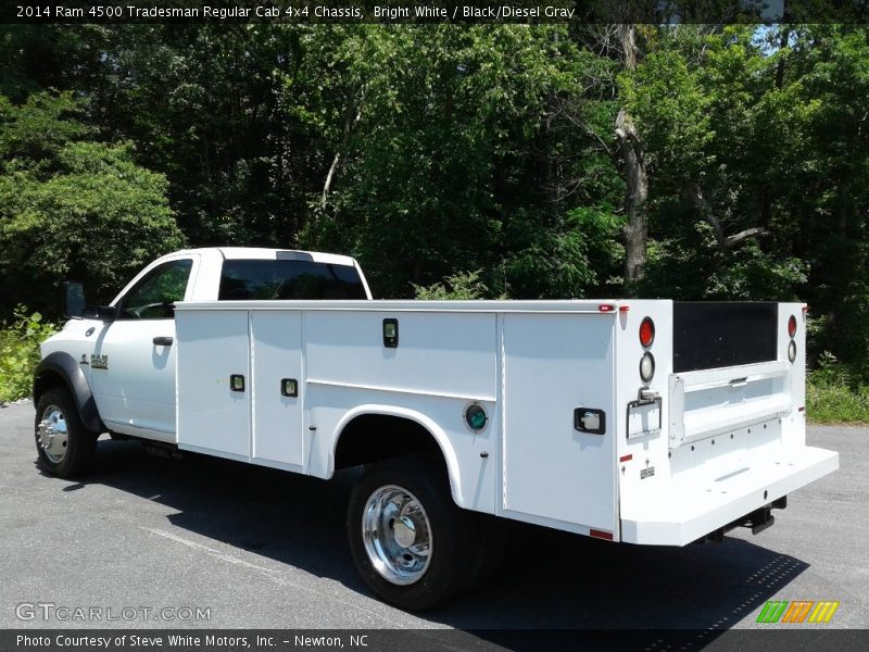 Bright White / Black/Diesel Gray 2014 Ram 4500 Tradesman Regular Cab 4x4 Chassis