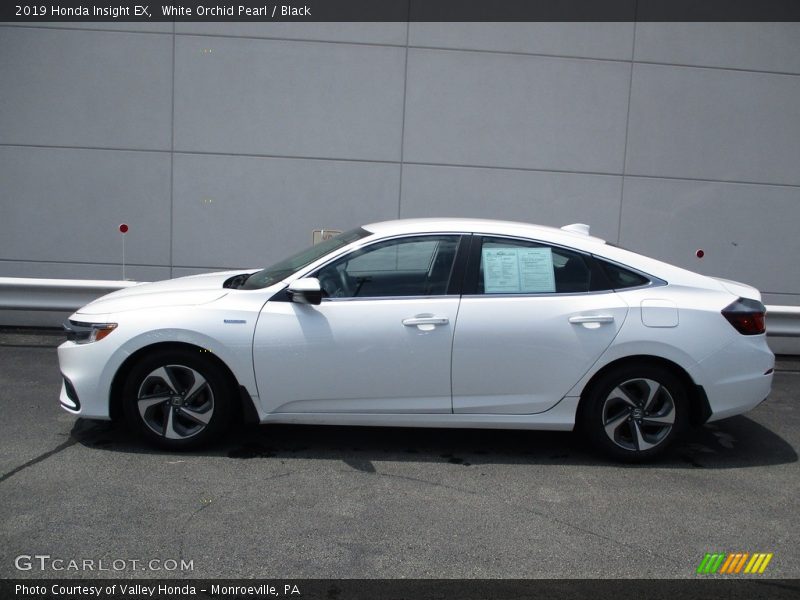 White Orchid Pearl / Black 2019 Honda Insight EX