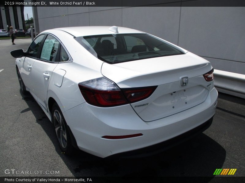 White Orchid Pearl / Black 2019 Honda Insight EX