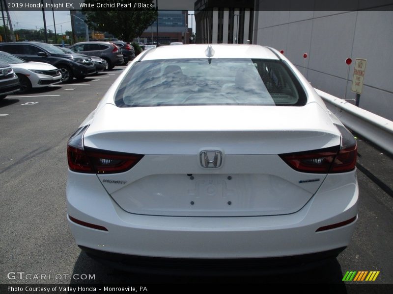 White Orchid Pearl / Black 2019 Honda Insight EX