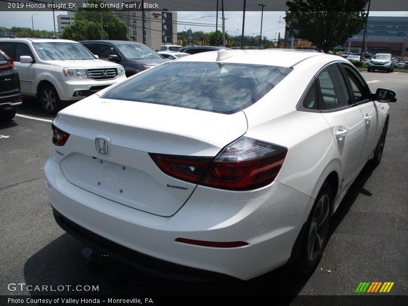 White Orchid Pearl / Black 2019 Honda Insight EX