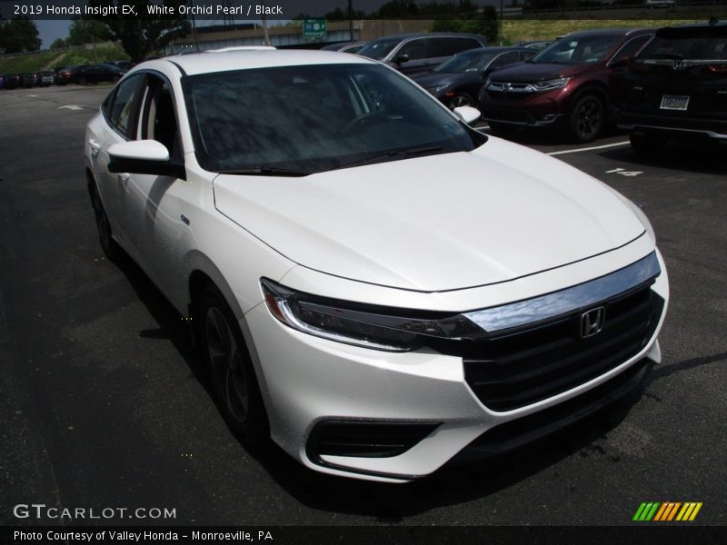 White Orchid Pearl / Black 2019 Honda Insight EX