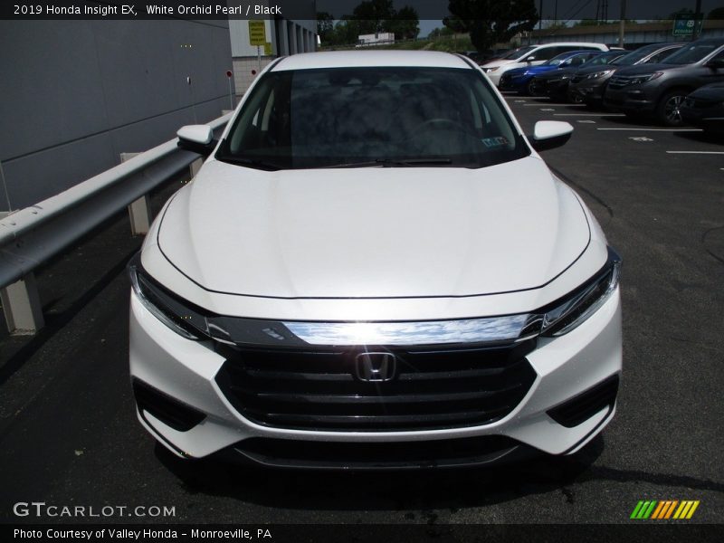 White Orchid Pearl / Black 2019 Honda Insight EX