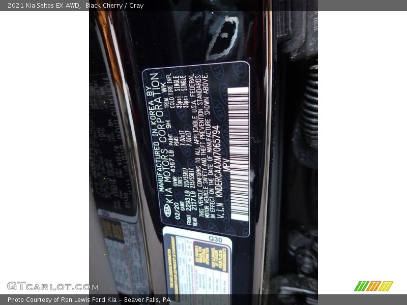 Black Cherry / Gray 2021 Kia Seltos EX AWD