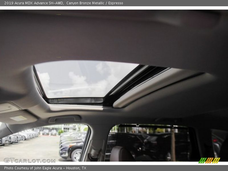 Canyon Bronze Metallic / Espresso 2019 Acura MDX Advance SH-AWD