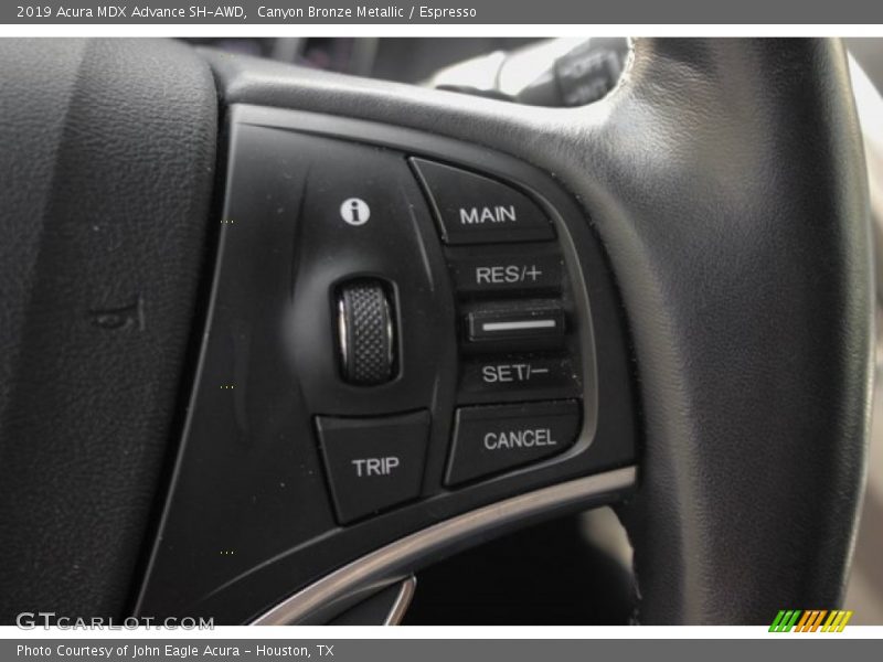 Canyon Bronze Metallic / Espresso 2019 Acura MDX Advance SH-AWD