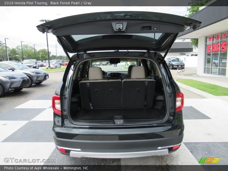 Black Forest Pearl / Gray 2019 Honda Pilot Touring