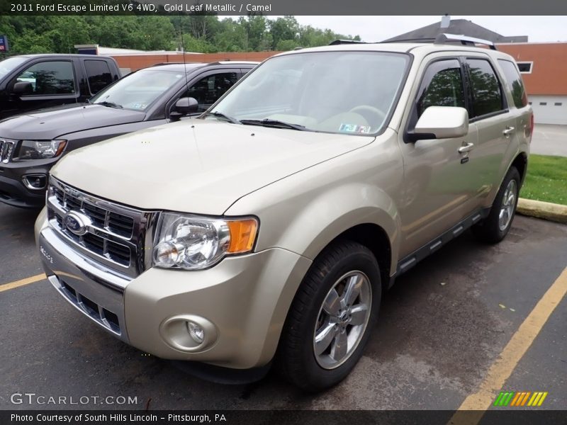 Gold Leaf Metallic / Camel 2011 Ford Escape Limited V6 4WD