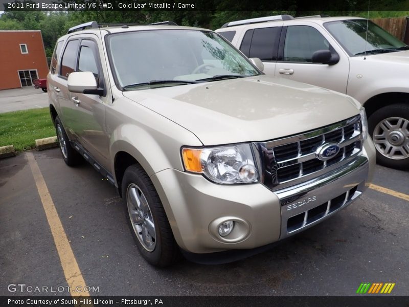 Gold Leaf Metallic / Camel 2011 Ford Escape Limited V6 4WD