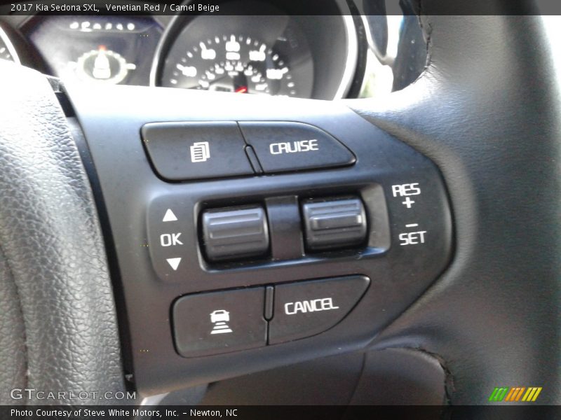  2017 Sedona SXL Steering Wheel
