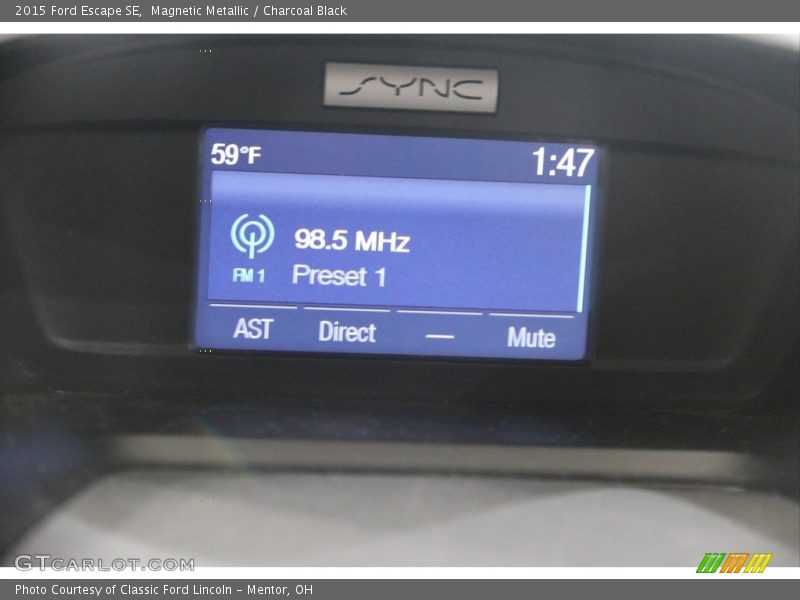 Magnetic Metallic / Charcoal Black 2015 Ford Escape SE