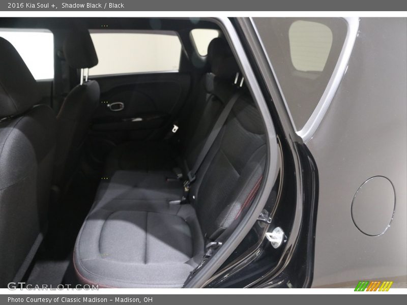Shadow Black / Black 2016 Kia Soul +