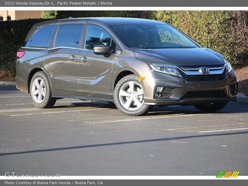 Pacific Pewter Metallic / Mocha 2020 Honda Odyssey EX-L