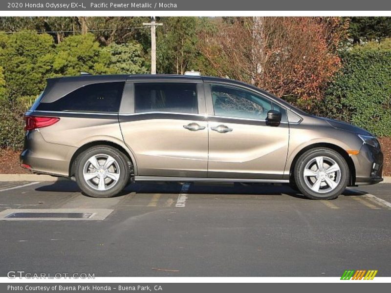 Pacific Pewter Metallic / Mocha 2020 Honda Odyssey EX-L