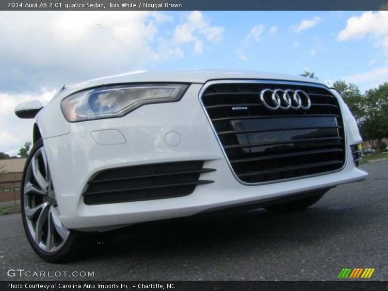 Ibis White / Nougat Brown 2014 Audi A6 2.0T quattro Sedan