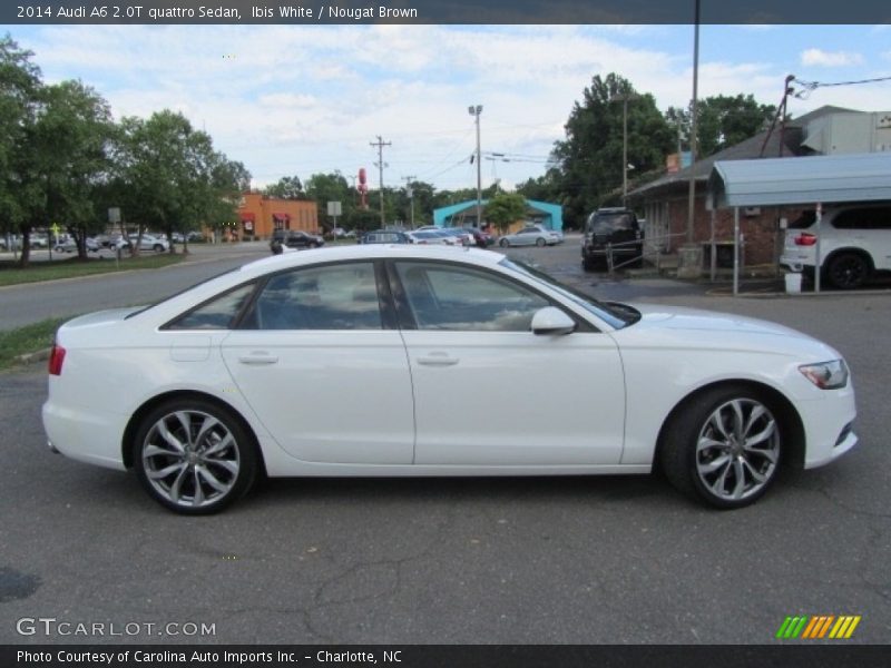 Ibis White / Nougat Brown 2014 Audi A6 2.0T quattro Sedan