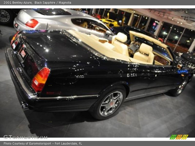 Black Sapphire / Magnolia 2001 Bentley Azure
