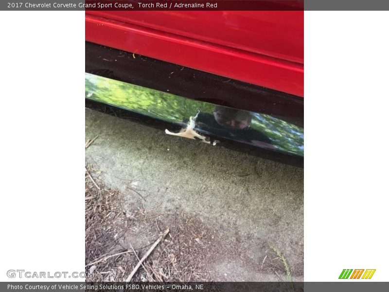 Torch Red / Adrenaline Red 2017 Chevrolet Corvette Grand Sport Coupe