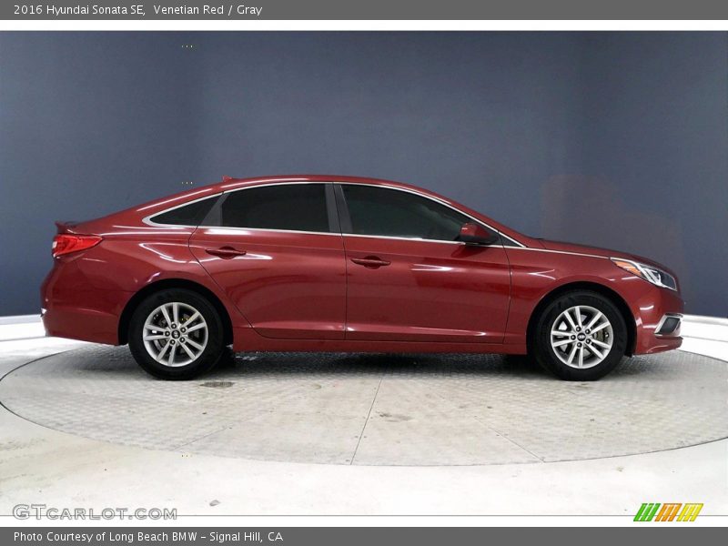 Venetian Red / Gray 2016 Hyundai Sonata SE