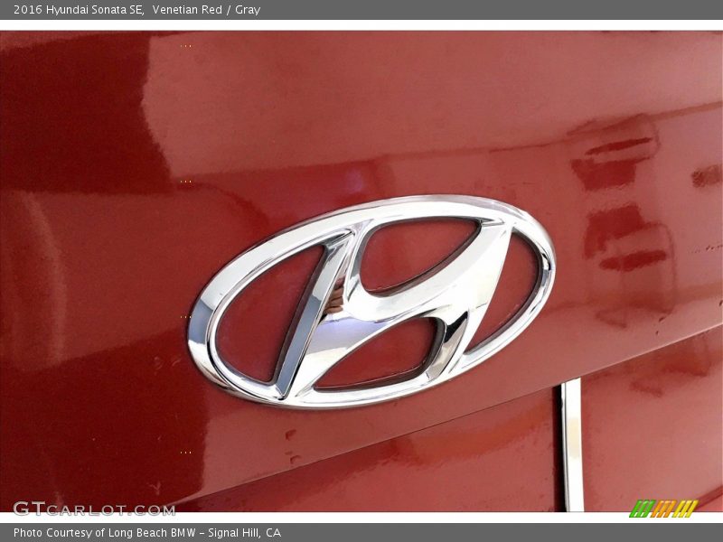 Venetian Red / Gray 2016 Hyundai Sonata SE
