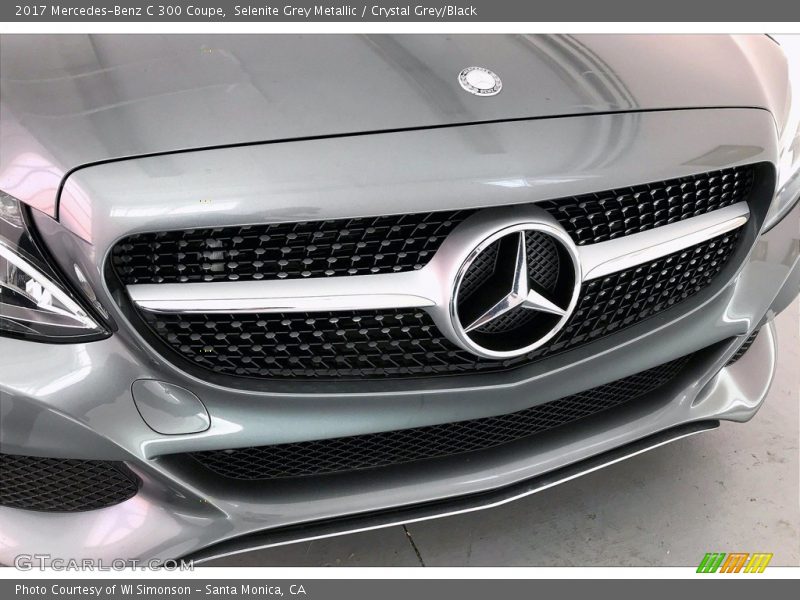 Selenite Grey Metallic / Crystal Grey/Black 2017 Mercedes-Benz C 300 Coupe