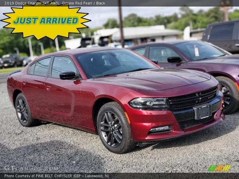 Octane Red Pearl / Black 2019 Dodge Charger SXT AWD