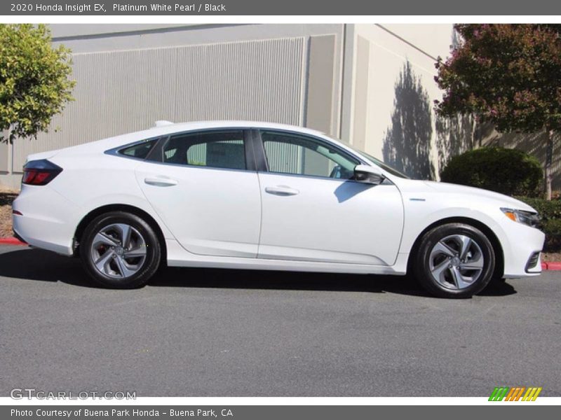 Platinum White Pearl / Black 2020 Honda Insight EX