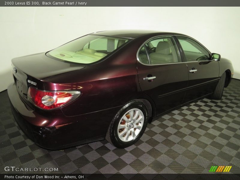 Black Garnet Pearl / Ivory 2003 Lexus ES 300