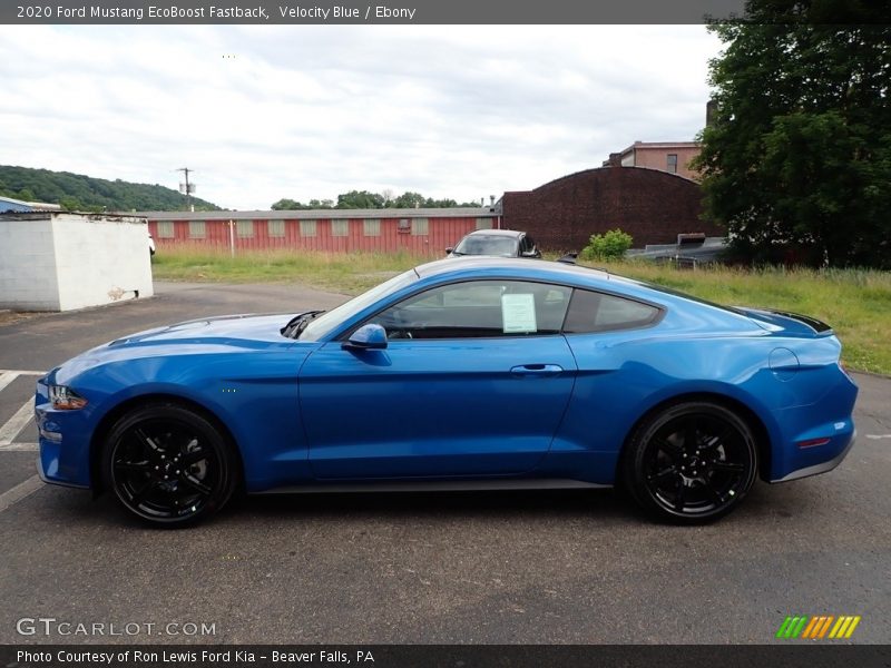 Velocity Blue / Ebony 2020 Ford Mustang EcoBoost Fastback