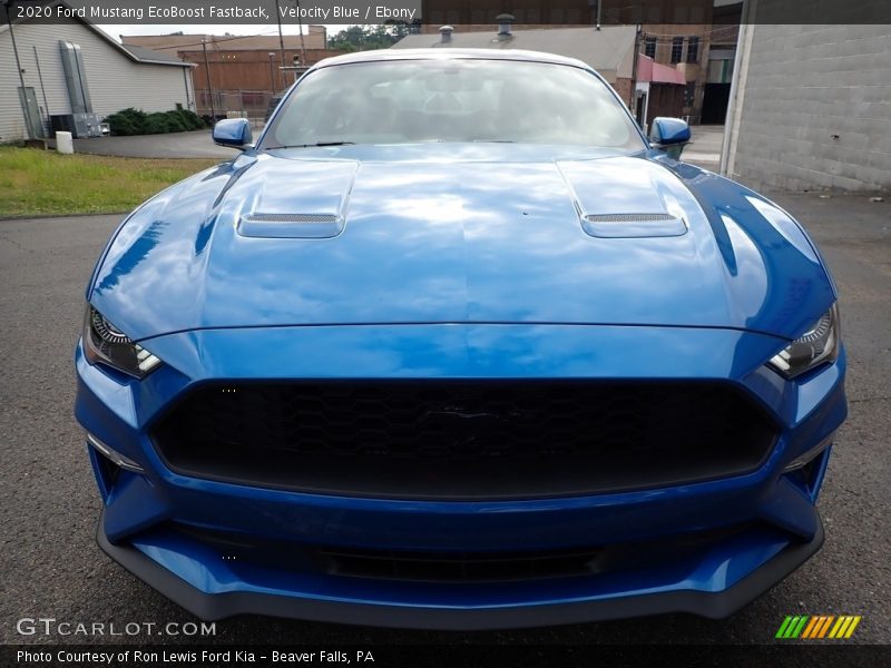 Velocity Blue / Ebony 2020 Ford Mustang EcoBoost Fastback