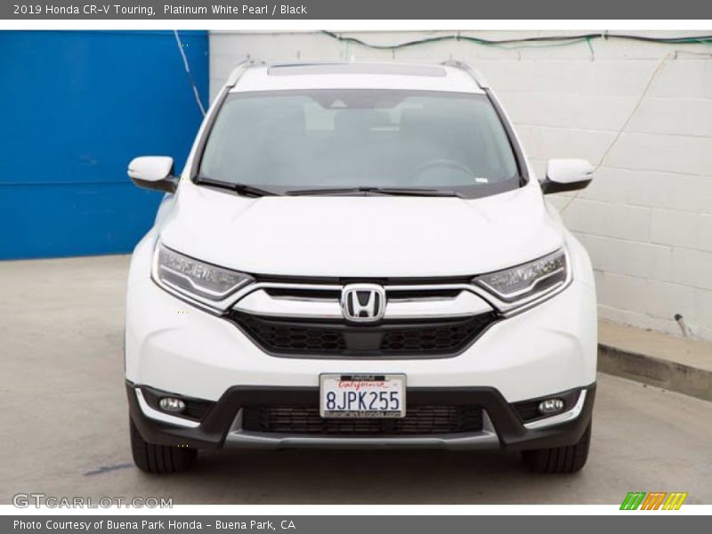 Platinum White Pearl / Black 2019 Honda CR-V Touring