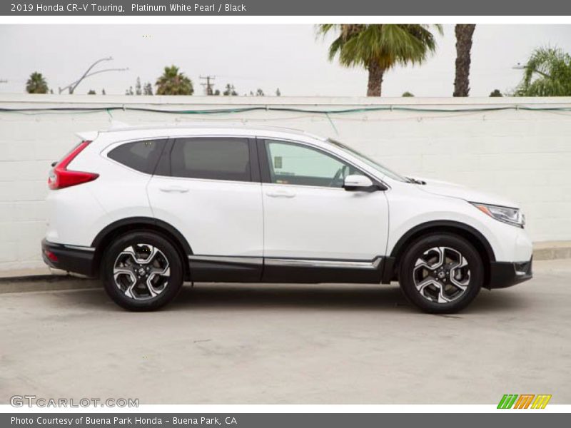 Platinum White Pearl / Black 2019 Honda CR-V Touring