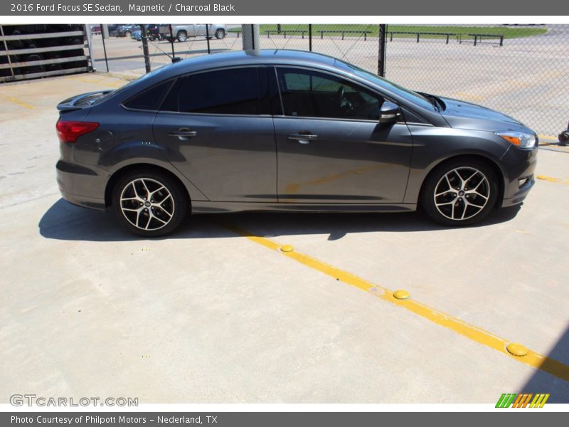 Magnetic / Charcoal Black 2016 Ford Focus SE Sedan