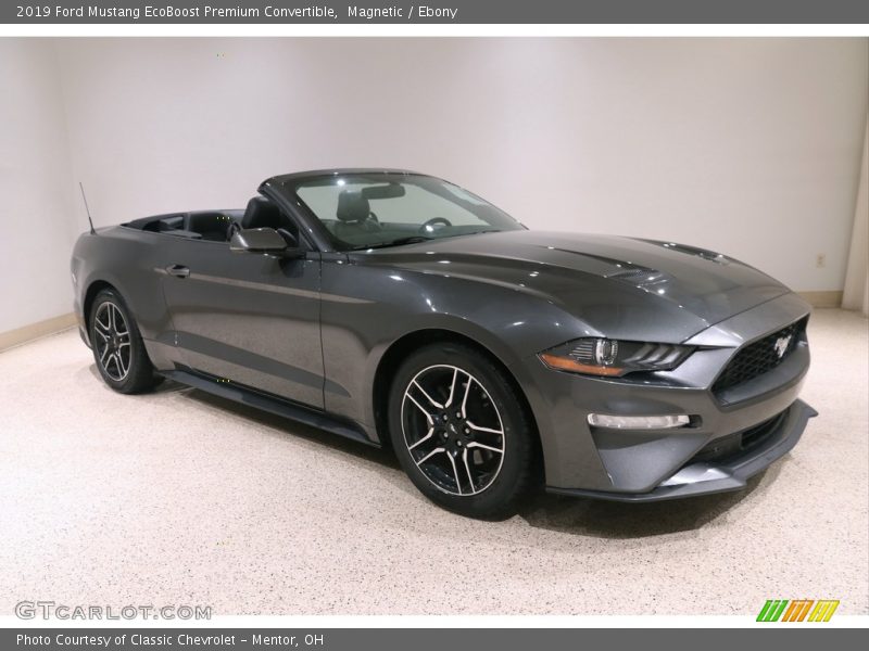 Magnetic / Ebony 2019 Ford Mustang EcoBoost Premium Convertible