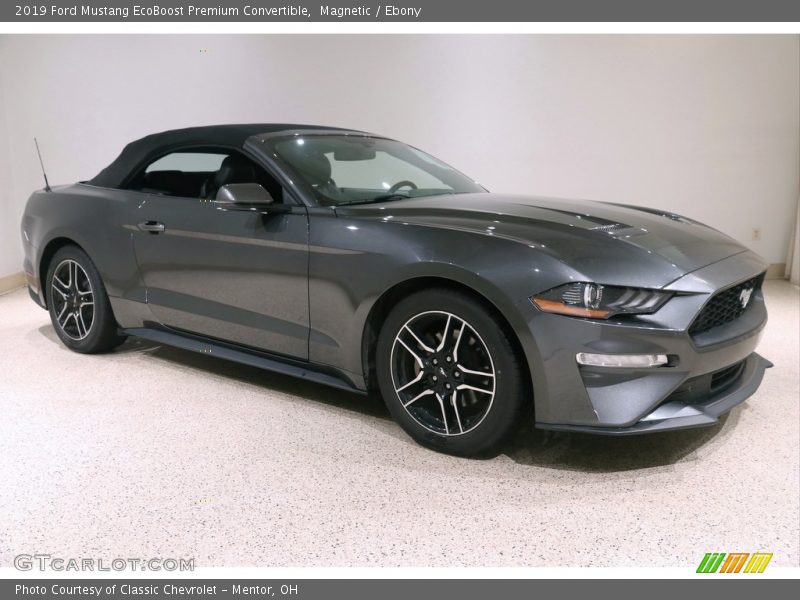 Magnetic / Ebony 2019 Ford Mustang EcoBoost Premium Convertible