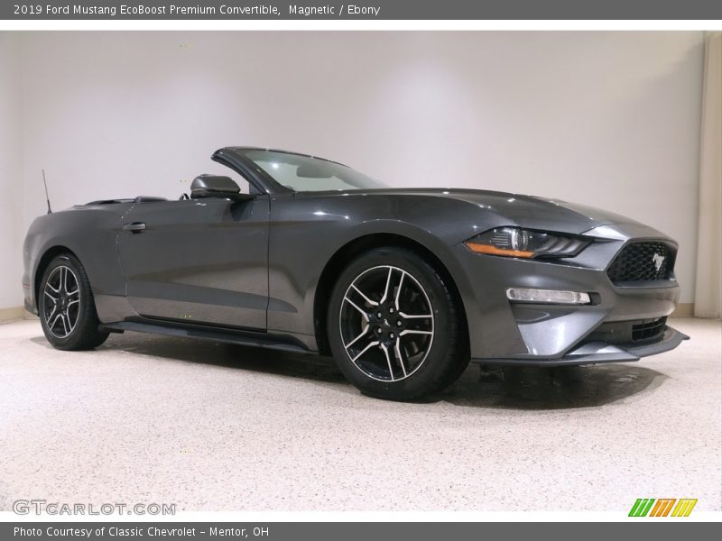 Magnetic / Ebony 2019 Ford Mustang EcoBoost Premium Convertible