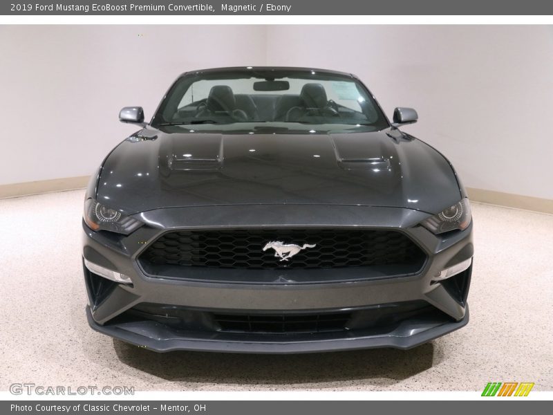 Magnetic / Ebony 2019 Ford Mustang EcoBoost Premium Convertible