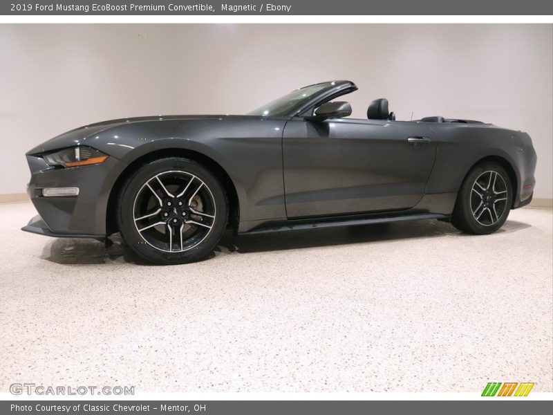 Magnetic / Ebony 2019 Ford Mustang EcoBoost Premium Convertible