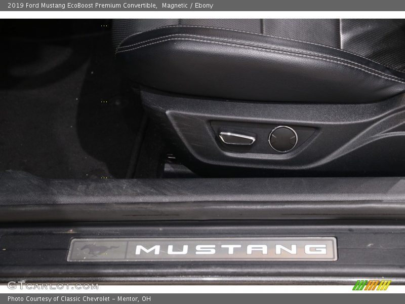 Magnetic / Ebony 2019 Ford Mustang EcoBoost Premium Convertible