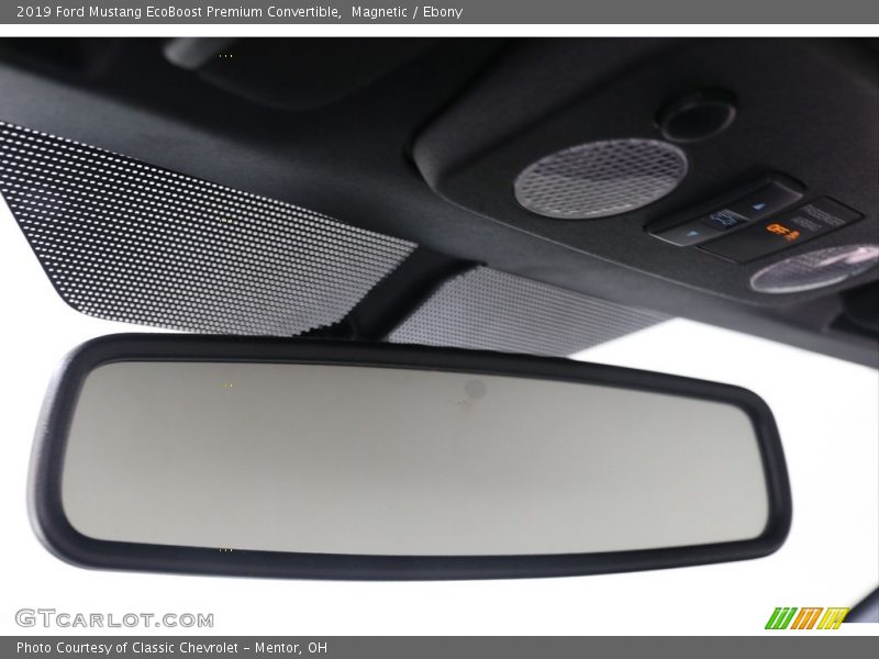 Magnetic / Ebony 2019 Ford Mustang EcoBoost Premium Convertible