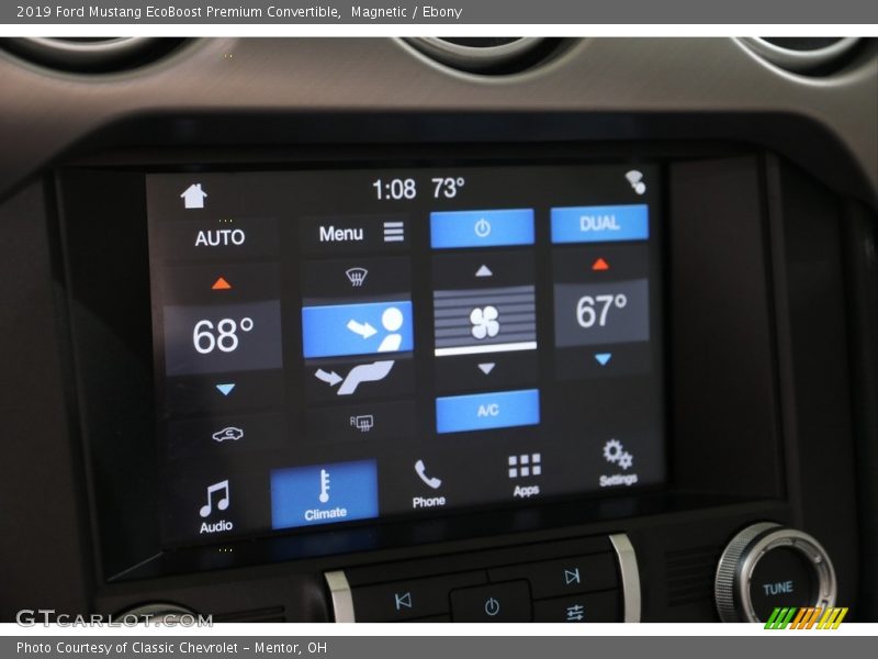 Magnetic / Ebony 2019 Ford Mustang EcoBoost Premium Convertible