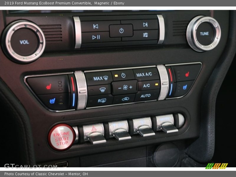 Magnetic / Ebony 2019 Ford Mustang EcoBoost Premium Convertible