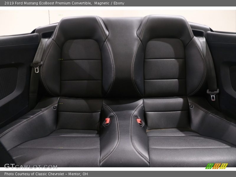 Magnetic / Ebony 2019 Ford Mustang EcoBoost Premium Convertible