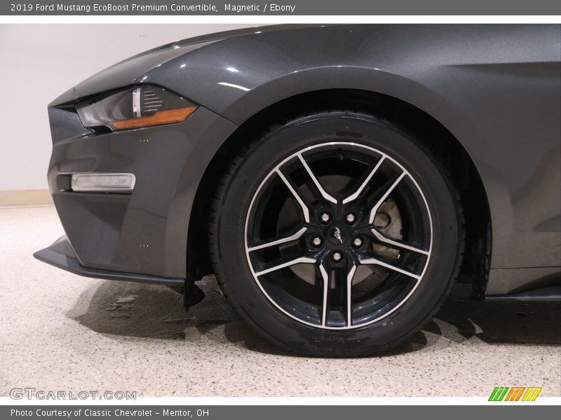 Magnetic / Ebony 2019 Ford Mustang EcoBoost Premium Convertible