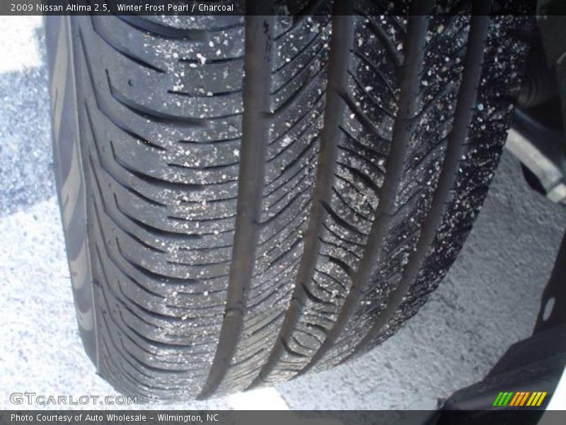 Winter Frost Pearl / Charcoal 2009 Nissan Altima 2.5