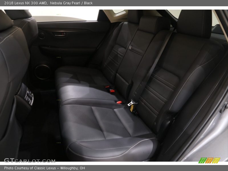 Nebula Gray Pearl / Black 2018 Lexus NX 300 AWD