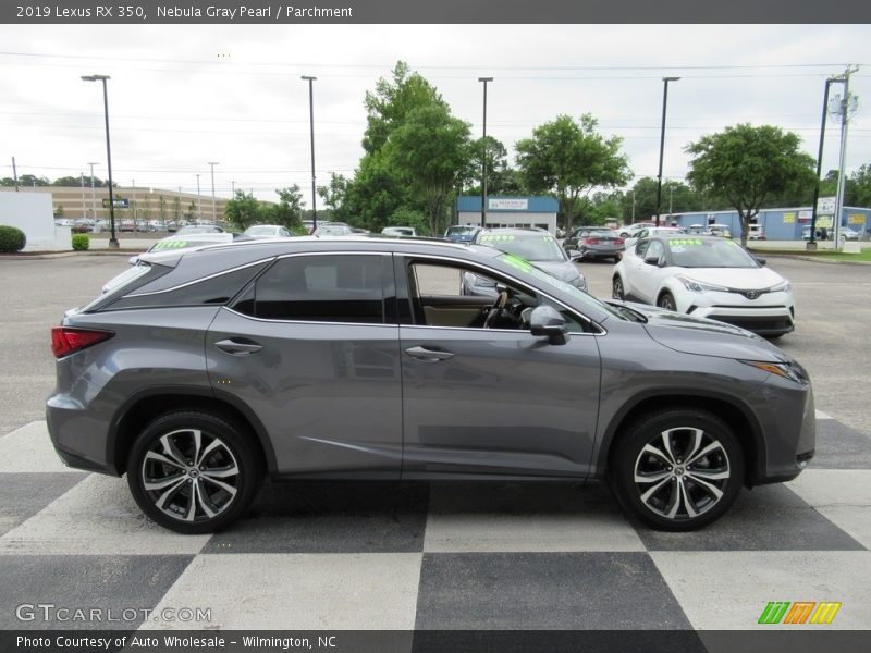 Nebula Gray Pearl / Parchment 2019 Lexus RX 350