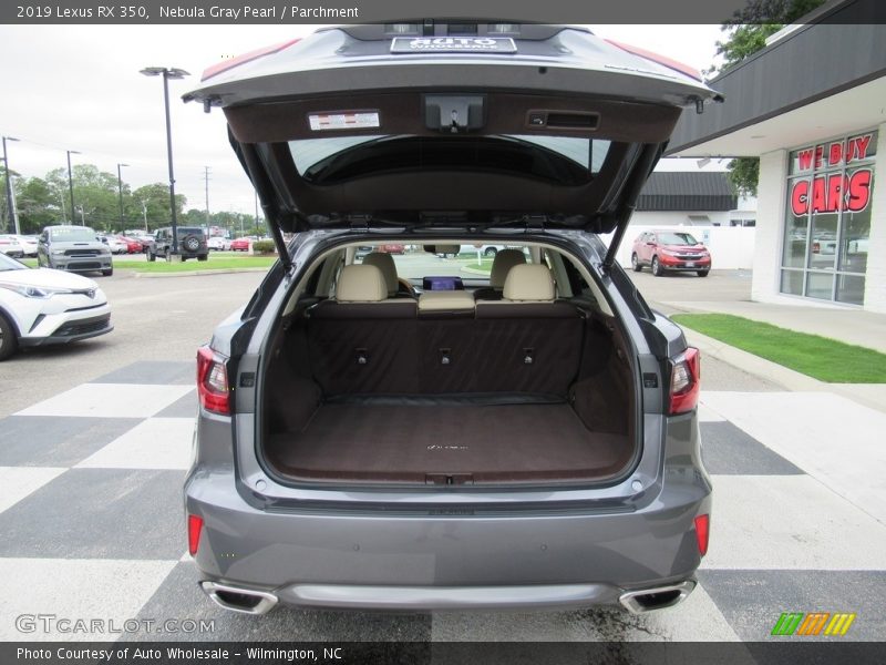 Nebula Gray Pearl / Parchment 2019 Lexus RX 350